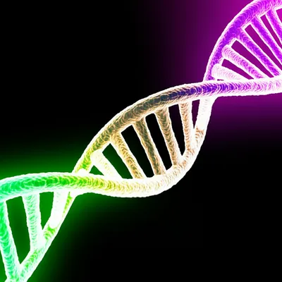 Illustration connotes - Image 1