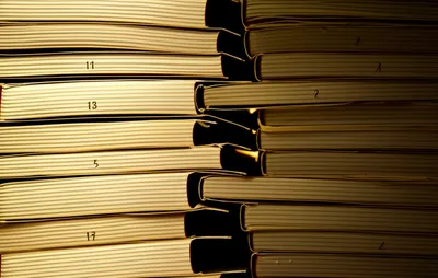 Illustration chaps - Image 1