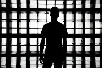 Illustration windows - Image 1