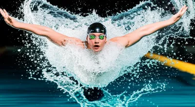 Illustration butterfly - Image 1