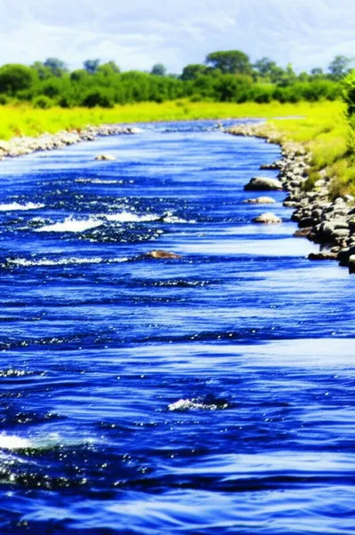 Illustration remit - Image 1