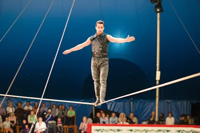 Illustration aerialist - Image 2