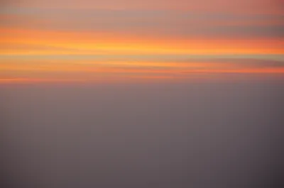 Illustration pales - Image 1