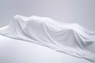 Illustration carcasses - Image 1