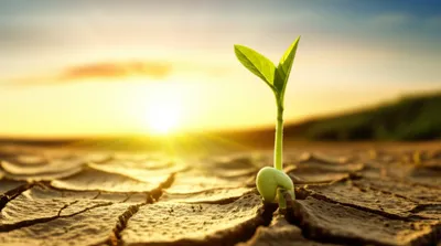 Illustration res - Image 1