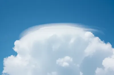 Illustration pileus - Image 1