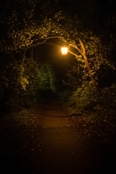 Illustration alight - Image 1