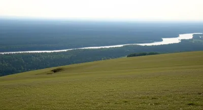 Illustration acre - Image 1