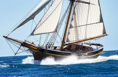 Illustration careen - Image 1