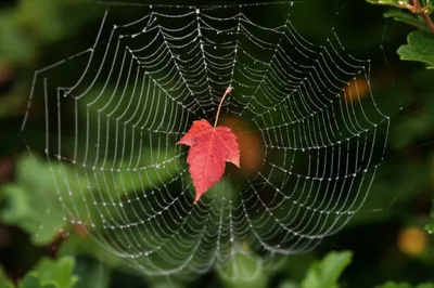 Illustration depends - Image 1