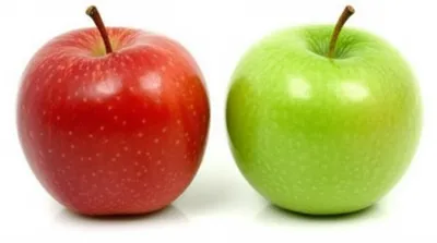 Illustration item - Image 1