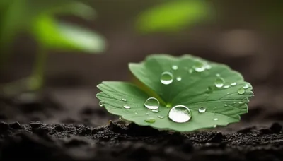 Illustration dampened - Image 1