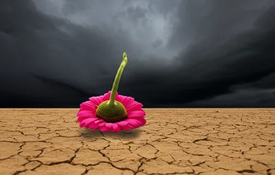 Illustration killed - Image 1