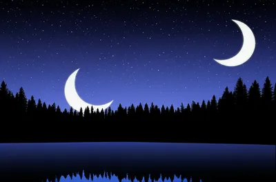 Illustration nights - Image 1