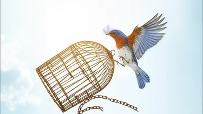 Illustration liberating - Image 1