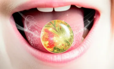 Illustration pastilles - Image 1