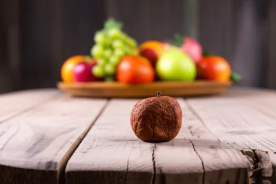 Illustration paltry - Image 1