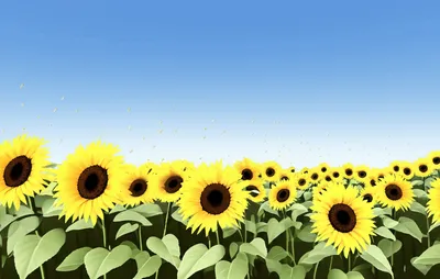 Illustration expands - Image 1