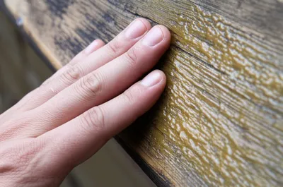 Illustration latches - Image 1