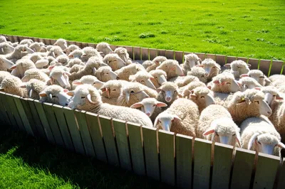 Illustration pens - Image 1