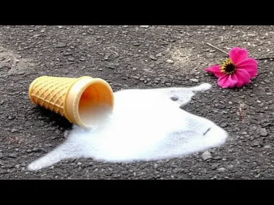 Illustration fried - Image 1