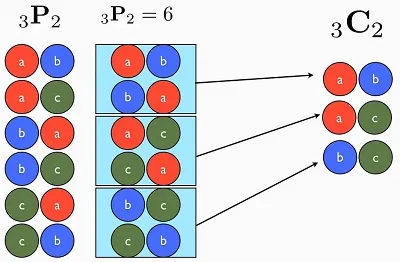 Illustration perm - Image 2