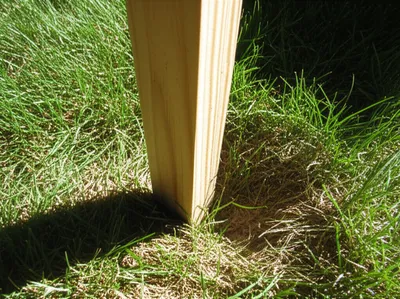 Illustration picket - Image 1