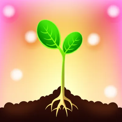 Illustration came - Image 1