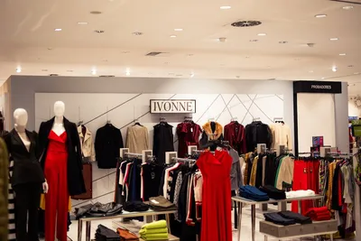 Illustration classifying - Image 2