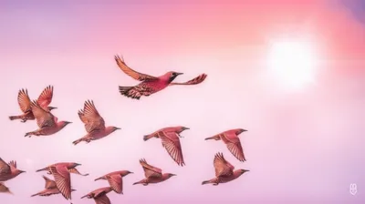 Illustration pastor - Image 1