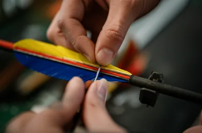 Illustration fletches - Image 1