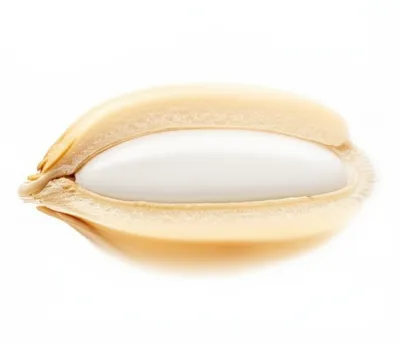 Illustration patent - Image 1