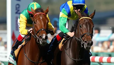 Illustration jockeyed - Image 1