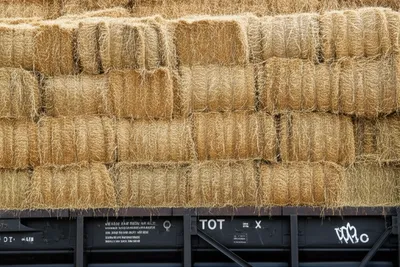 Illustration car - Image 1