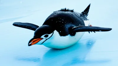 Illustration sliding - Image 1