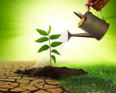 Illustration subsidy