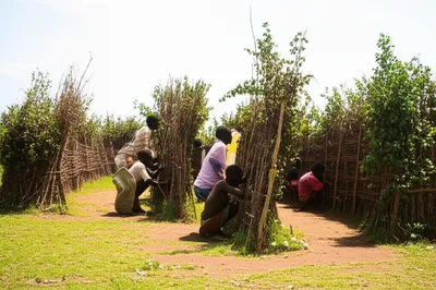 Illustration latrine - Image 1