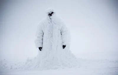 Illustration coated - Image 1