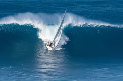 Illustration pooped - Image 1