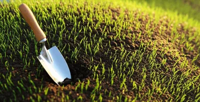 Illustration mounding - Image 1