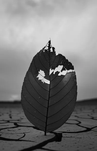 Illustration lifeless - Image 1