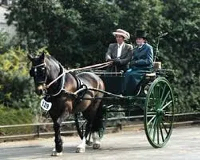 Illustration gig - Image 2