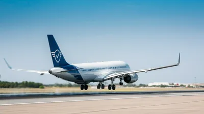 Illustration carriers - Image 1