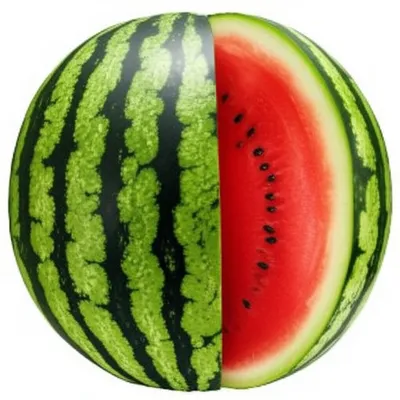 Illustration watermelon
