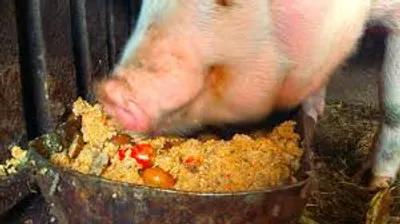 Illustration wash - Image 2