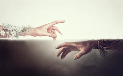 Illustration dualities - Image 1