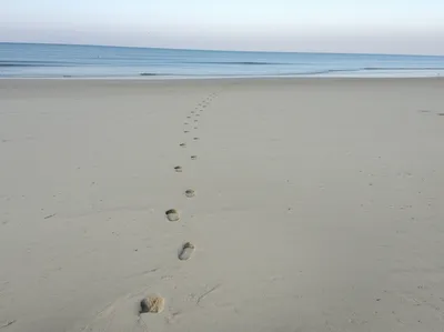 Illustration erasure - Image 1