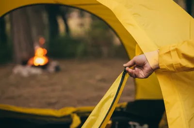 Illustration zipped - Image 1