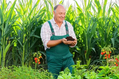 Illustration growers - Image 1