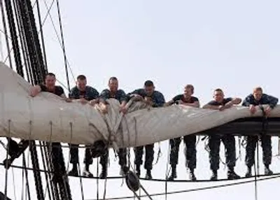 Illustration furl - Image 2